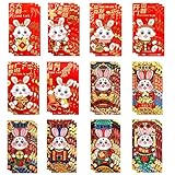 Red Envelopes Chinese New Year, 36PCS Lucky Money Envelopes 2023 Year of the Rabbit, 12 Design, Creative Hong Bao for Spring Festival(Large Size)