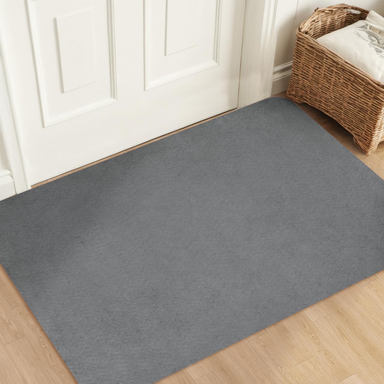 Aoxisicoo Indoor Doormat 80 x 120 cm, Washable Dirt Trapper Mat, Super Thin Entrance Door Mat, Non-Slip Dirt Trapper Durable Carpet, Absorbent Kitchen Runner, Light Grey