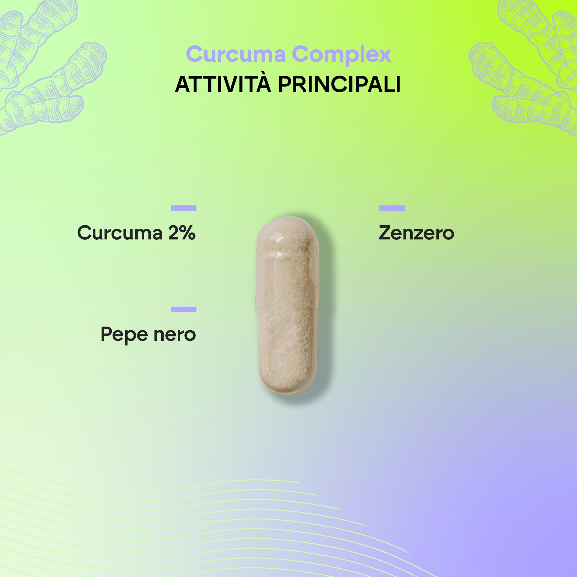 Curcuma Capsule e Piperina + Zenzero + Pepe Nero - 1420mg - Curcumina - Curcuma BIO - Turmeric Naturale 120 Capsule - Nutralie
