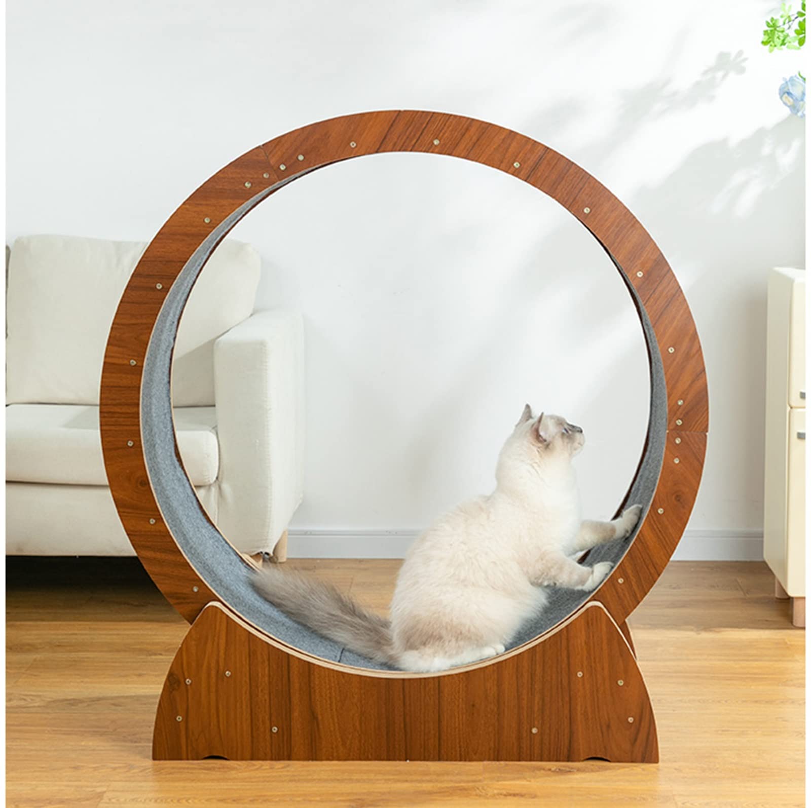 Rueda de Ejercicio para Gatos Rueda Del Árbol Del Gato, Rueda Del Corredor De Gatos, Rueda De Hámster, Grande Mediano Pequeño, Ruedas De Spinning De Gatos De Interior, Dispositivo De Pérdida De Peso D