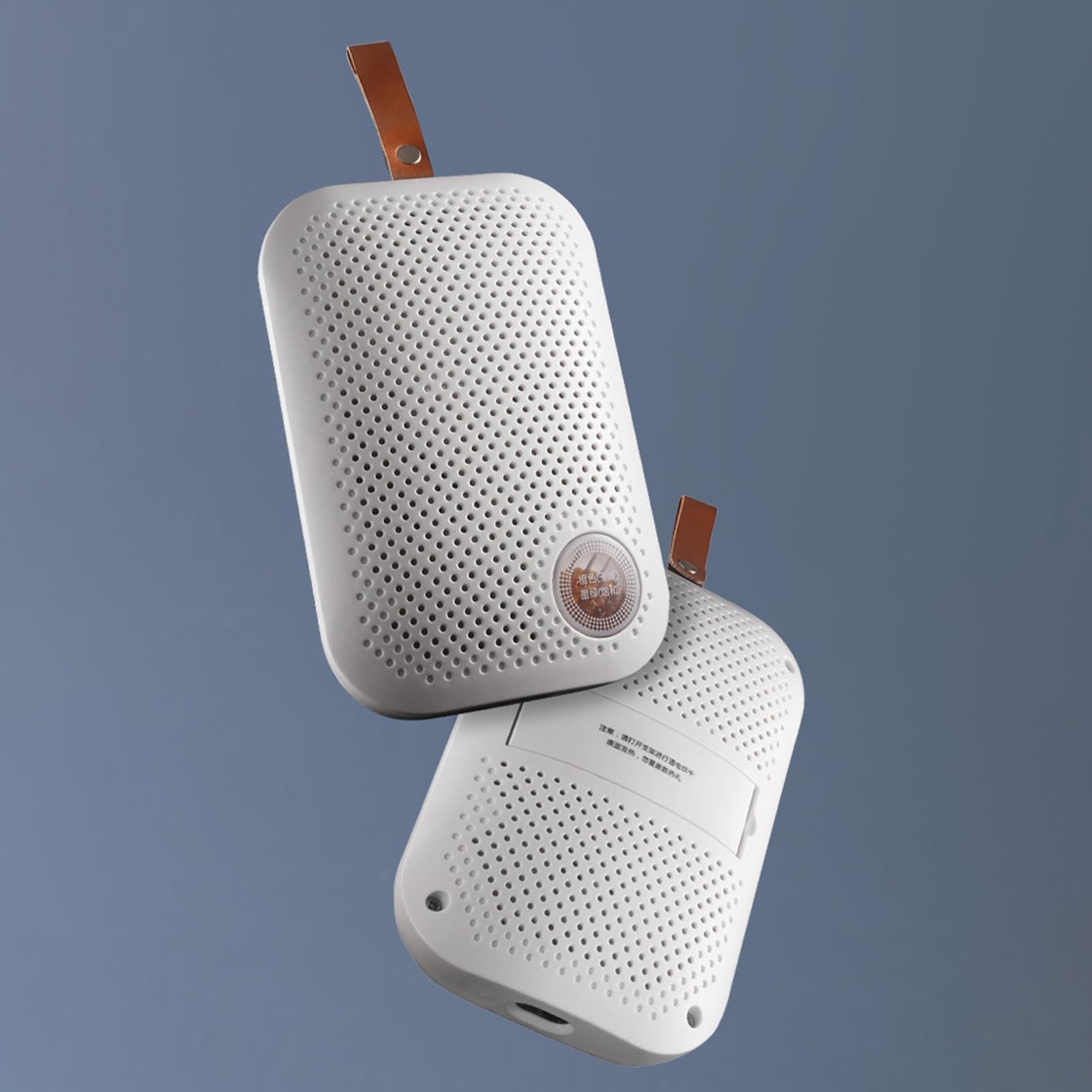 Deumidificatore Mini Assorbitore Di Umidità | Portatile e Silenzioso con Cordoncino per Interni Armadio Guardaroba Soggiorno e Mobile