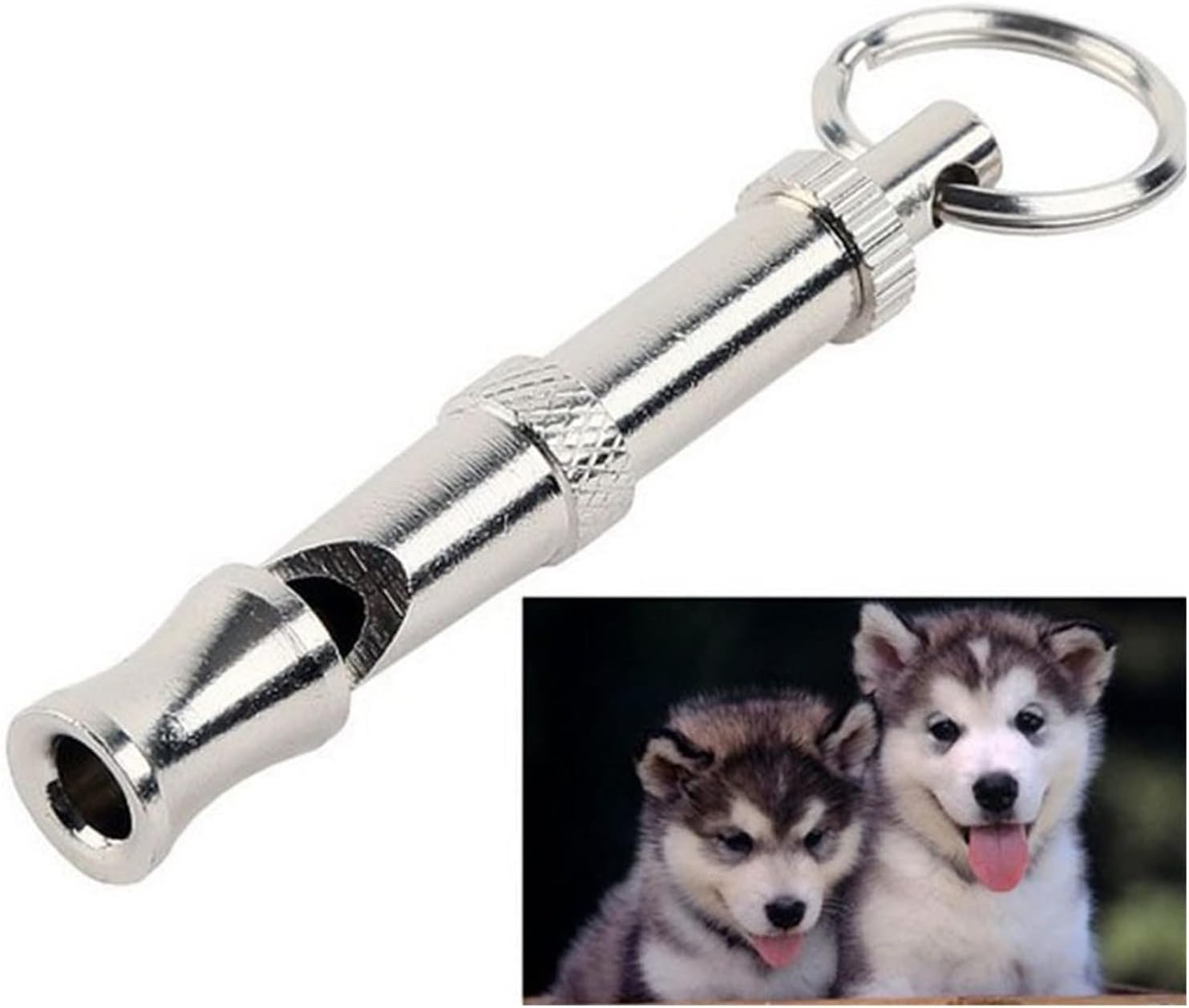 THE DDS Store Dog Whistle 2 -Tone Ultrasonic Flute Stop Barking Ultrasonic Sound Repeller Cat Training Whistle(Single Pack)