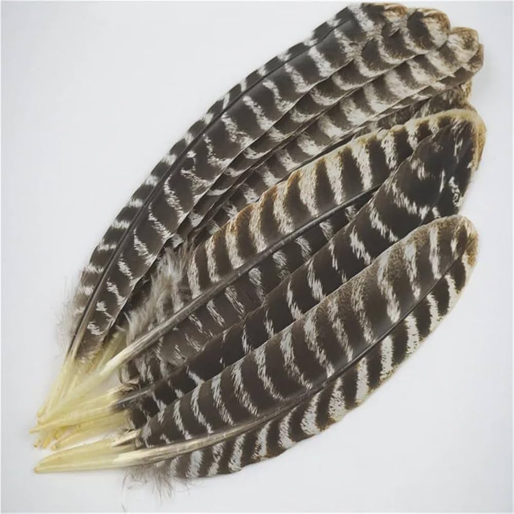 Amazon.com: Natural Eagle Feathers 8-16