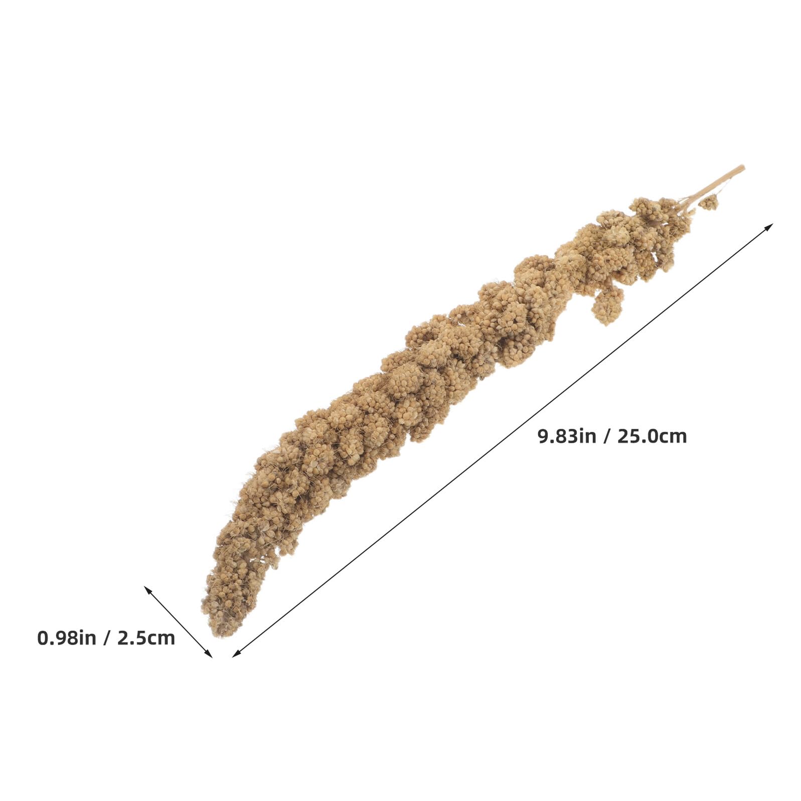 Cibo per Uccelli in Miglio Guscio 500g Snack per Canarini Pappagalli Attività di Foraggiamento Naturale