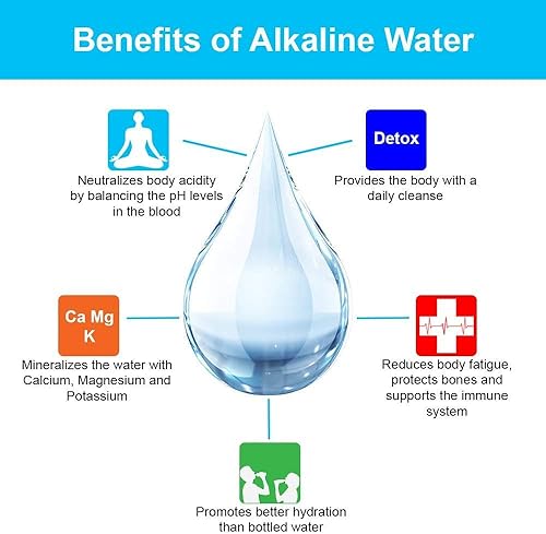 Miniatura 3 de Filtro de agua potable alcalino en línea de 6 etapas  KDF  Antioxidante Mineral pH Equilibrio  (2 x 10 pulgadas sin accesoriosclips)