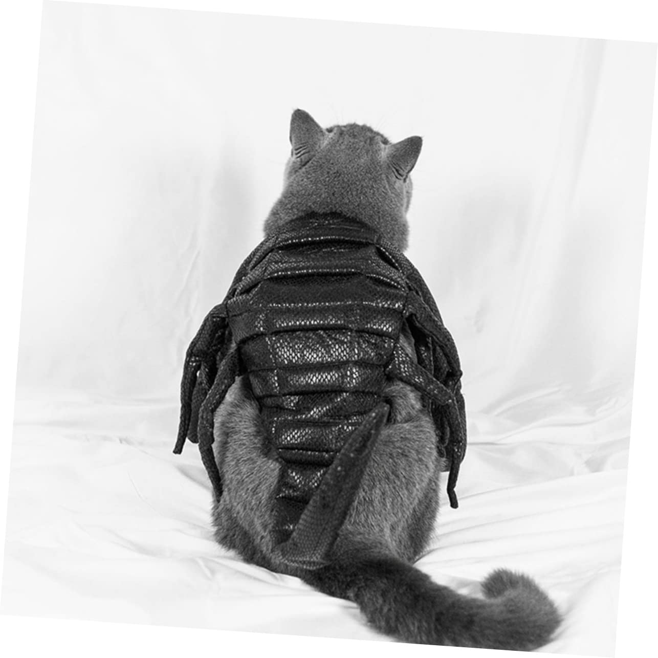 Decorazioni Natalizie,2 Pezzi Abbigliamento per Animali Domestici Felpa con Cappuccio per Cane Felpa con Cappuccio in Lana Vestiti per Gattini Costume per Animali Domesti
