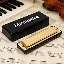 Chave de gaita Deluxe de C, 10 furos 20 tons boca órgão diatônico blues gaita para adultos, iniciantes, profissionais, como um presente