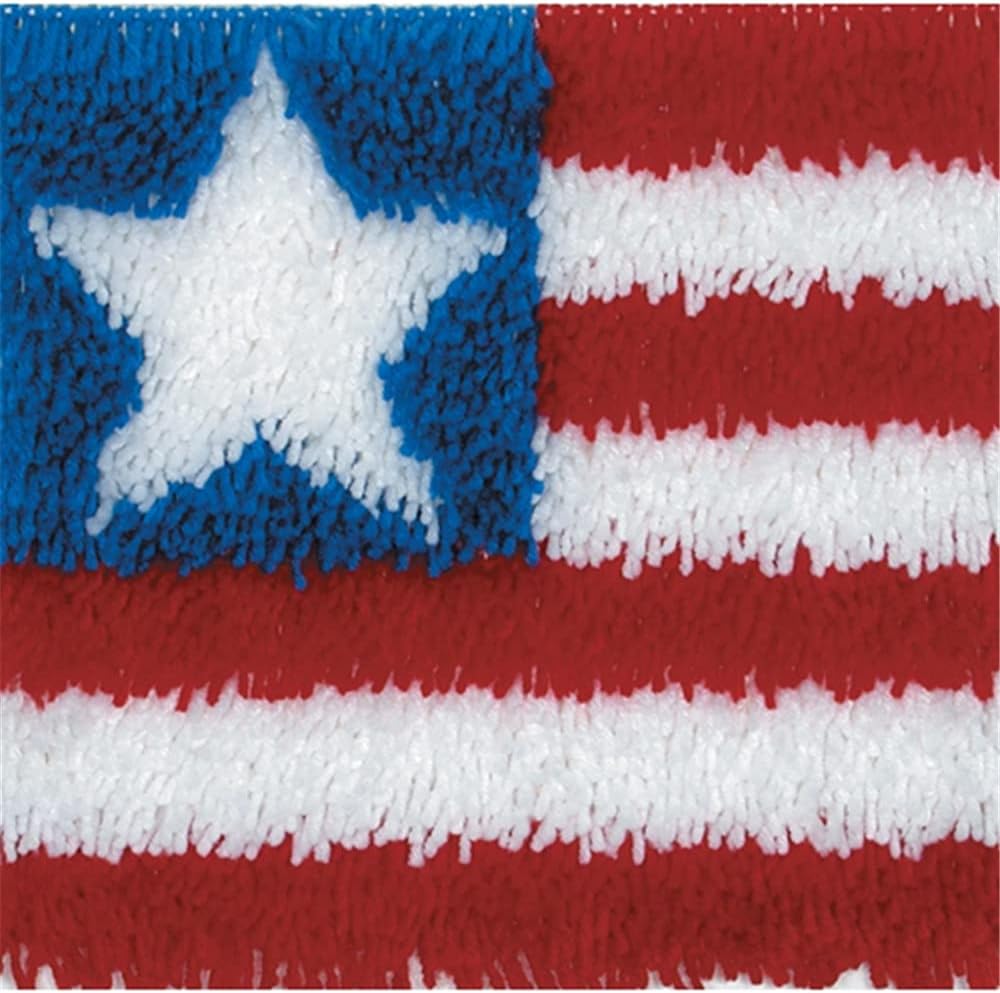 DL-YTG DIY Latch Hook Kits Throw Pillow Flag Cover Rug Pattern Color Printed Canvas 16X16 inch, Crochet Needlework Crafts for Adults