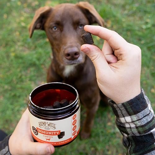 Miniatura 2 de Hemp Well Masticables suaves para perros con inmunidad + alergia con hongos funcionales y cáñamo, 60 unidades, alivio de la alergia del perro,
