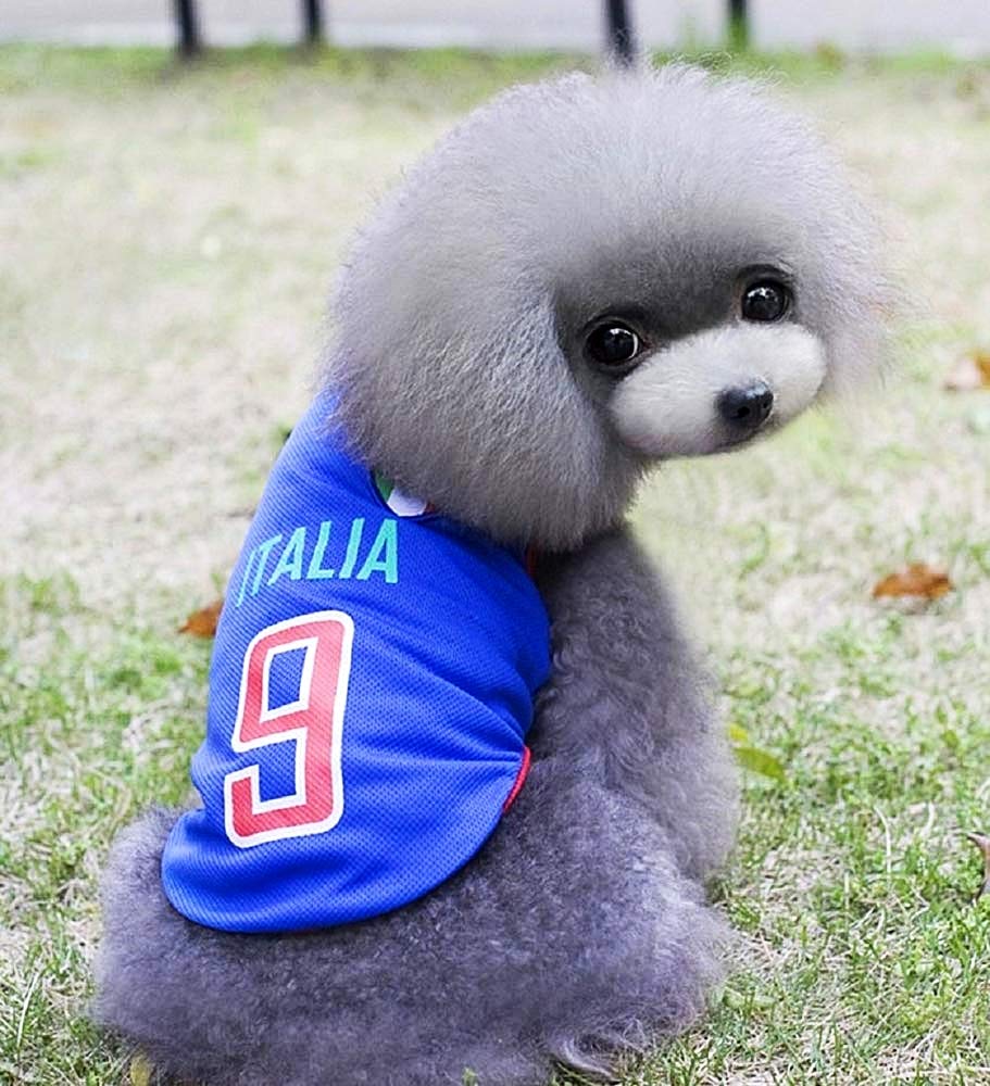 Vestito tifoso - Microbista - squadra calcio - ITALIA - Ultra - XL - cane - Idea Regalo originale