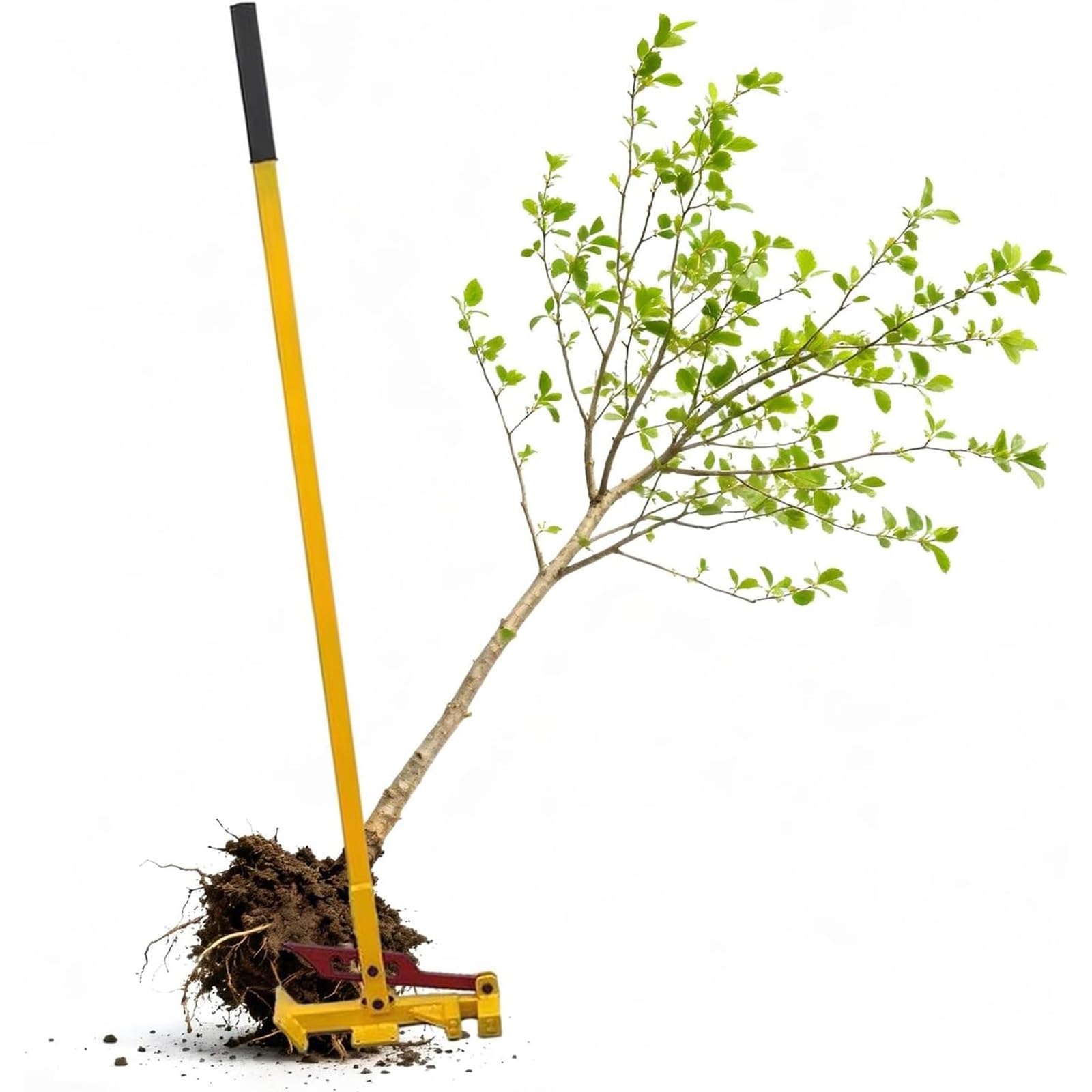 Attrezzo per l'estrazione di radici di alberi per impieghi gravosi, per la rimozione senza sforzo di giovani alberi e alberi di piccole dimensioni - Attrezzatura a leva per un'estrazione efficiente