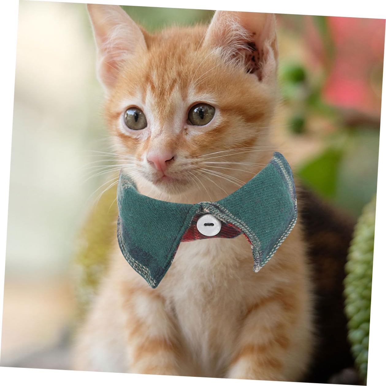 TOYANDONA 10 Pièces Collier pour Chat Ajustable avec Nœud et Clochette,