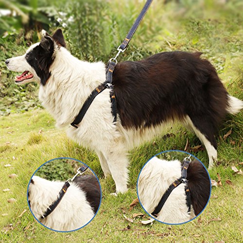 Bark Lover Dog Harness Leash And Collar Matching Sets For Small Puppy Medium Large Dogs Pets, Heavy Duty Nylon With Denim Design, Perfect Accessories For Walking Training Your Dog(M,Black) #TOP5