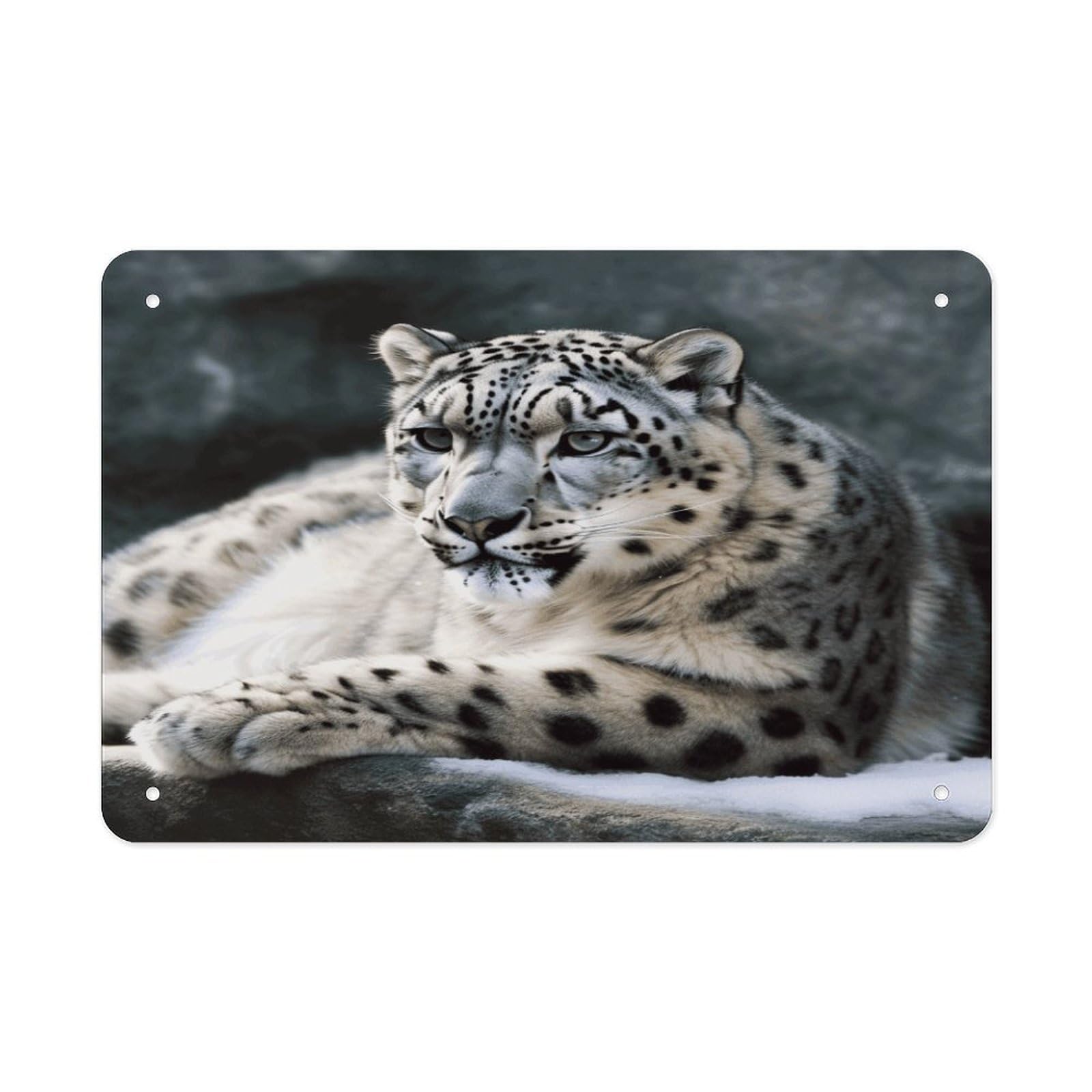 Snow Leopard Metal Tin Sign 12"x8" Wall Art Prints Poster Decorative Picture Metal Signboard Decor Painting Folded Edge Iron Sheet Painting with Holes for Wall Decor