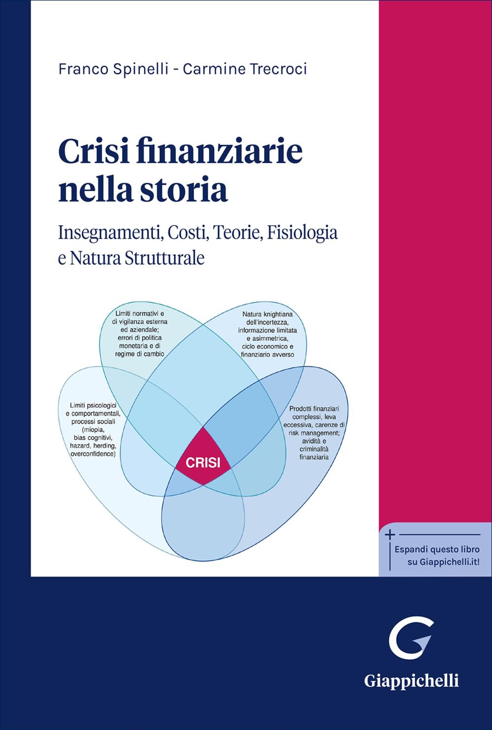 Crisi finanziarie nella storia. Insegnamenti, costi, teorie, fisiologia e natura strutturale