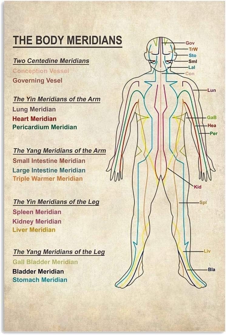 RNUMLIGH TCM Meridians Chart Poster Traditional Chinese Medicine Art Canvas Print for Acupuncture Office and Wellness Decor