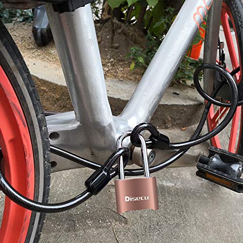Image of 1 Pack disecu Heavy Duty 4 Digit Combination Lock, 2.5 Inch Long Shackle Outdoor Waterproof Padlock for School Gym Locker, Storage Unit, Fence, Gate, Toolbox (Brass)