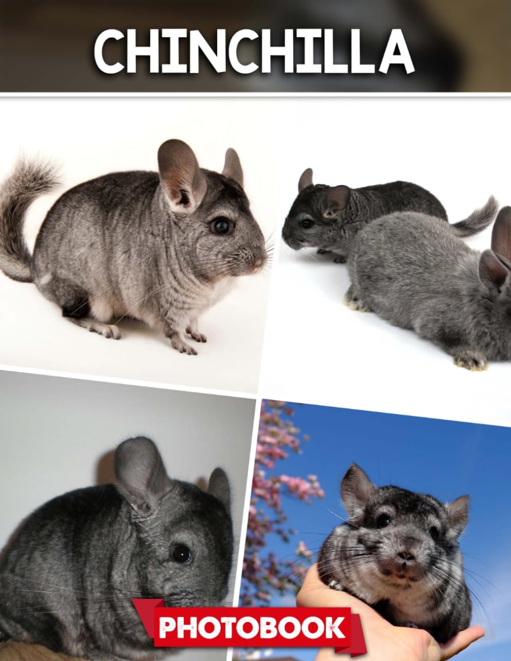 Chinchilla Photo Book: Picture Collection For Adults With Dementia And Alzheimer’s Patients – Soft Fluffy Animal Images In Calm And Gentle Nature Scenes