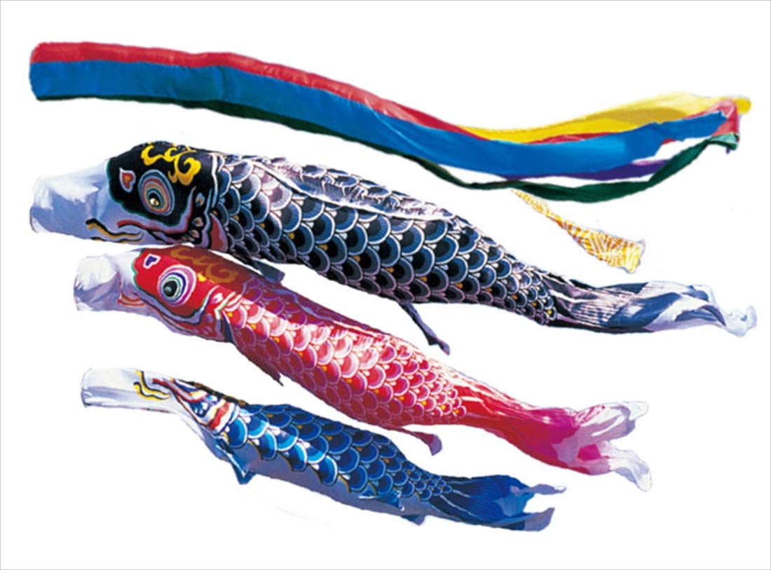 Amazon | 錦鯉 鯉のぼり 大型セット 羽衣錦鯉 6m6点セット 鯉3色 五色