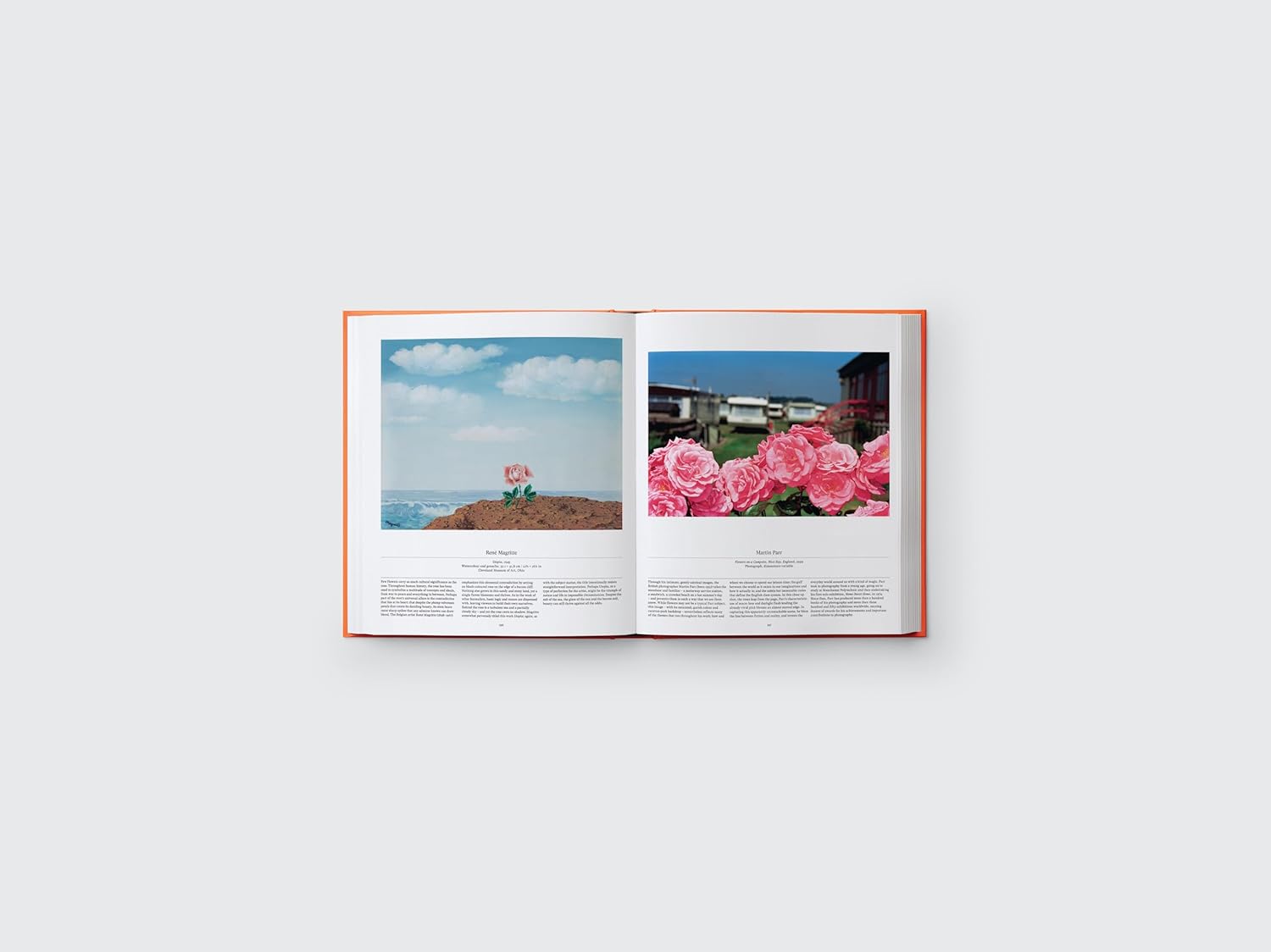 Flower: Exploring the World in Bloom