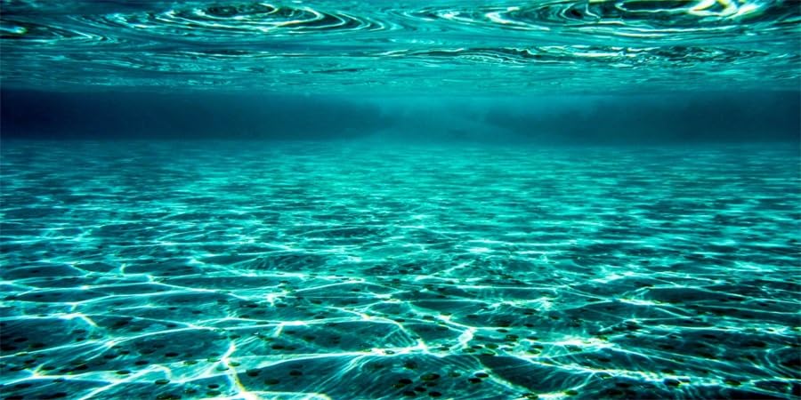 YongFoto Fish Tank Background 72x18 inch Turquoise Clear Water Ripple Lakebed Undersea Ocean Floor Underwater Seabed Polyester Backdrop Reptile