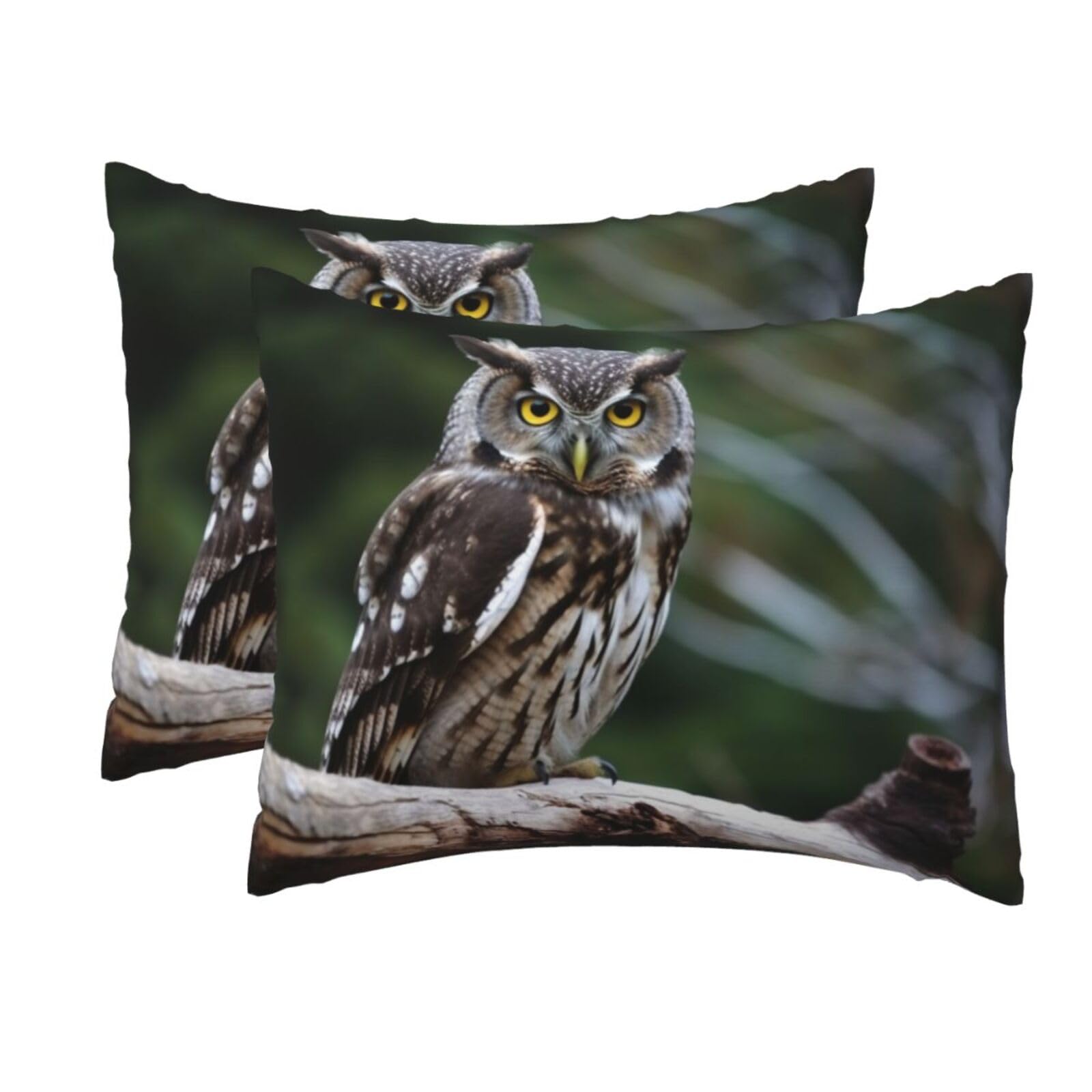 2 Pack Standard Pillow Cases with Hidden Zipper, Soft Breathable Pillow Covers for Hair and Skin, Wild Owl Birds Pillowcases 20"x26" Bed Pillow Protectors Cover for Sleeping Gifts