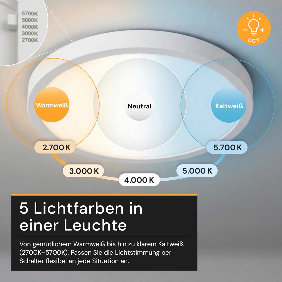6er Pack LED Panel rund Ø 290mm, 24W 2400lm, Weiß