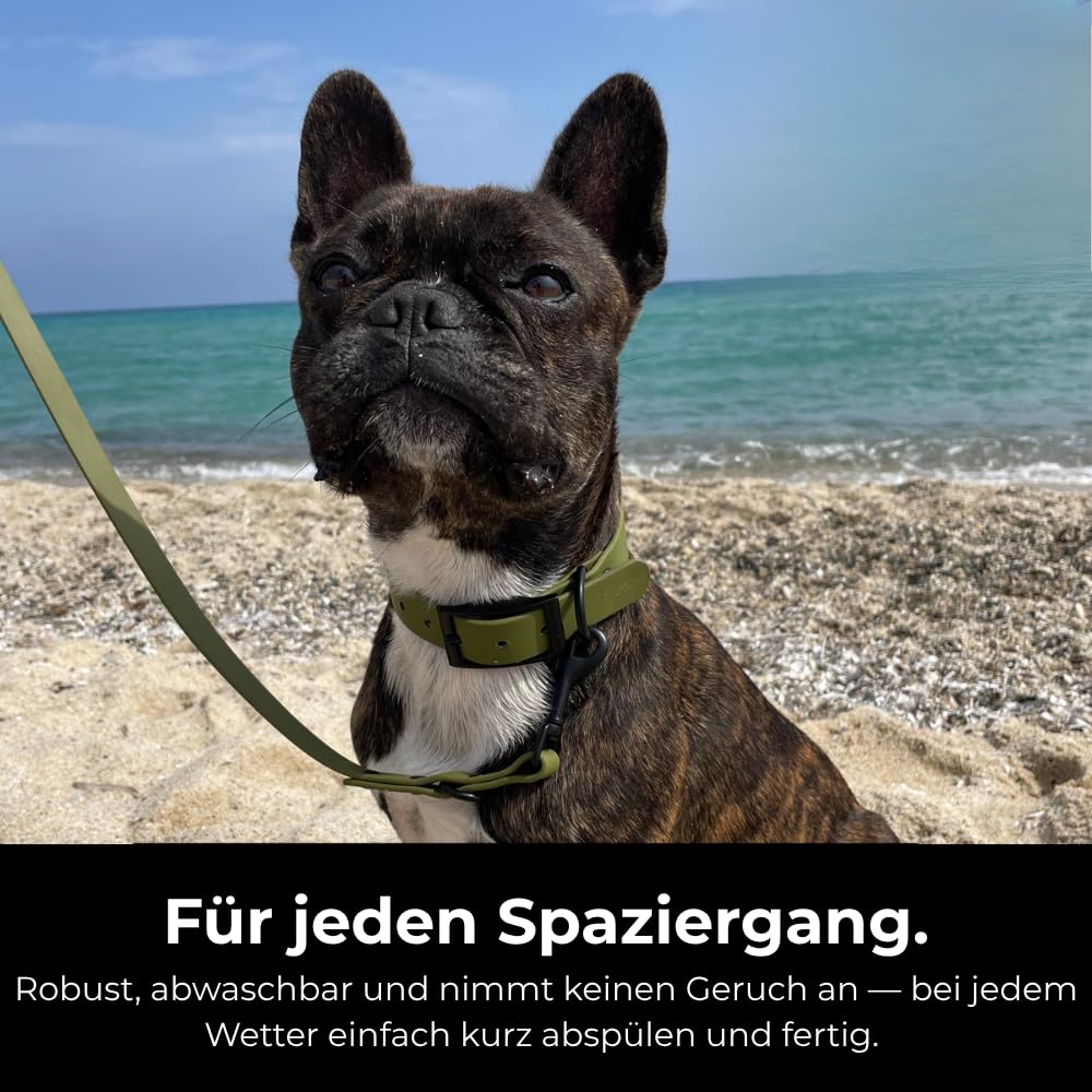 Hundeleine kleine Hunde verstellbar 210cm - Freihandleine Orange | Metallkarabiner bis 312kg, 3 Längen von 110-193cm, Veganes Material aus recyceltem PET, Wetterfest abspülbar