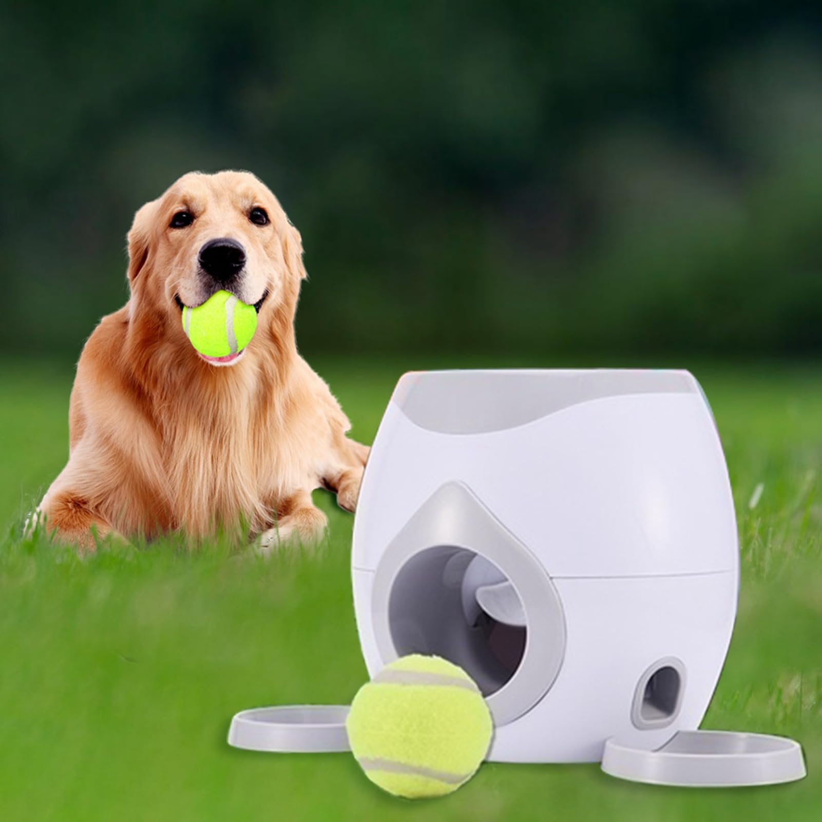 PUNELE Automatic Pet Feeder, Interactive Toy, Dog Training, Tennis Ball Machine, Indoor and Outdoor, Interactive Dog Toys - Image 4