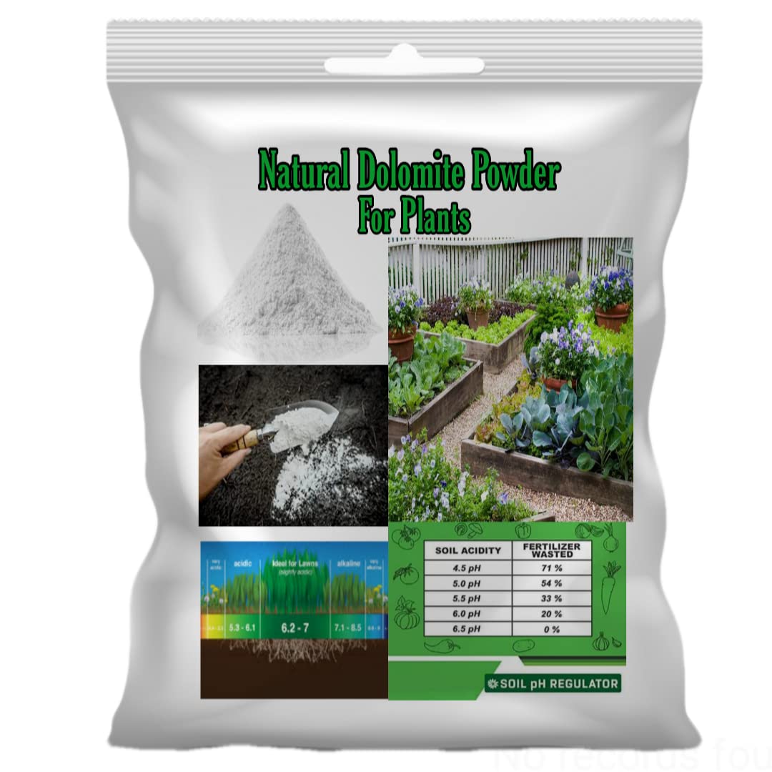 See full amazon price history chart for Lives Garden Plants- Natural Dolomite Powder(Limestone Powder) for Plants With Rich Amount Of Calcium & Magnesium Balance (Ph) Level of Soil,Gardens And All Indoor & Outdoor Plants (2 kg)) Lives Garden Plants- Natural Dolomite Powder(Limestone Powder) for Plants With Rich Amount Of Calcium & Magnesium Balance (Ph) Level of Soil,Gardens And All Indoor & Outdoor Plants (2 kg)) (B09YNL4KFT) Amazon Price History, Amazon Price Tracker
