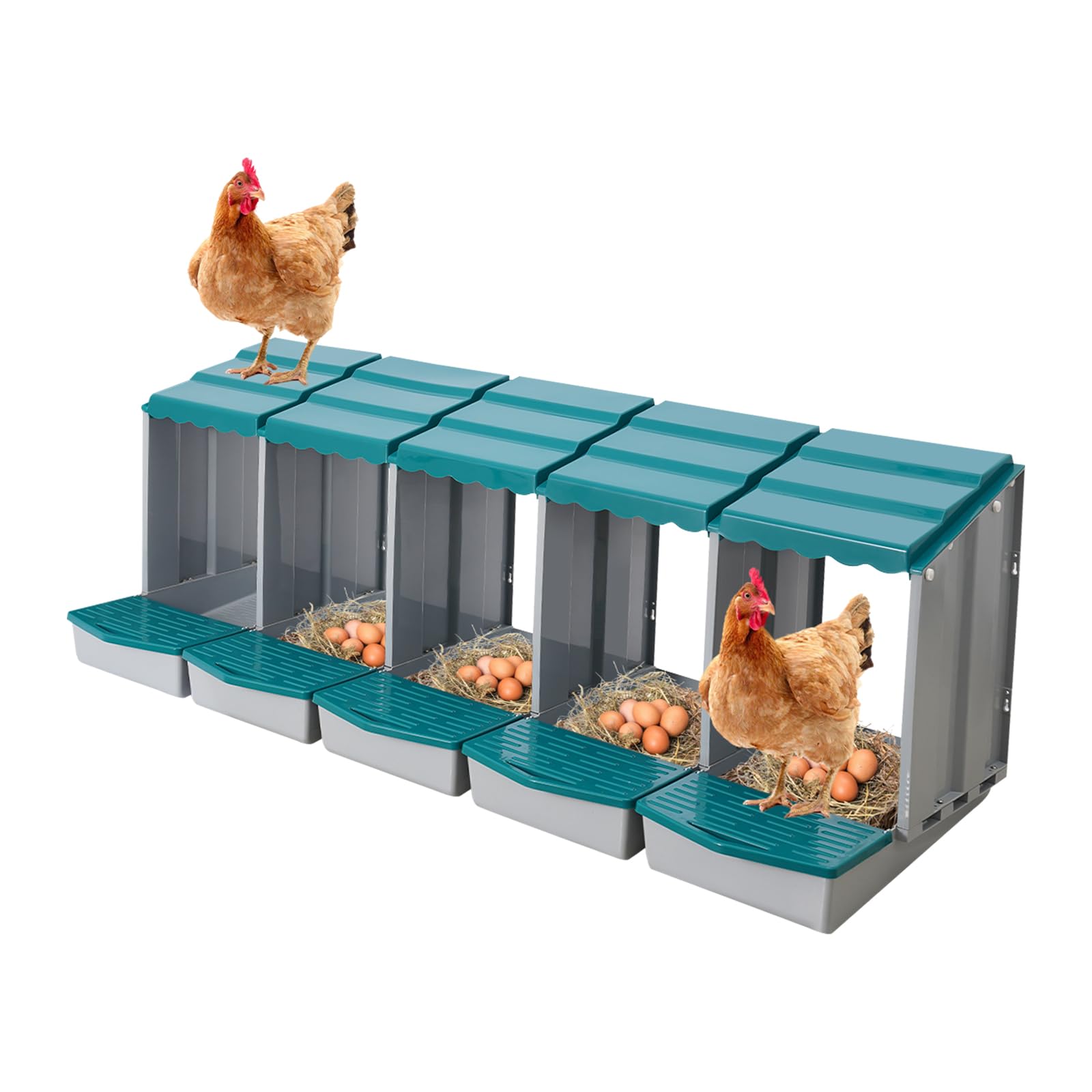 Gallinero nido para gallinero, accesorios, caja con recogehuevos, de material PP, para montaje en pared o de pie en exteriores, cría de pollos (verde, 5 compartimentos)
