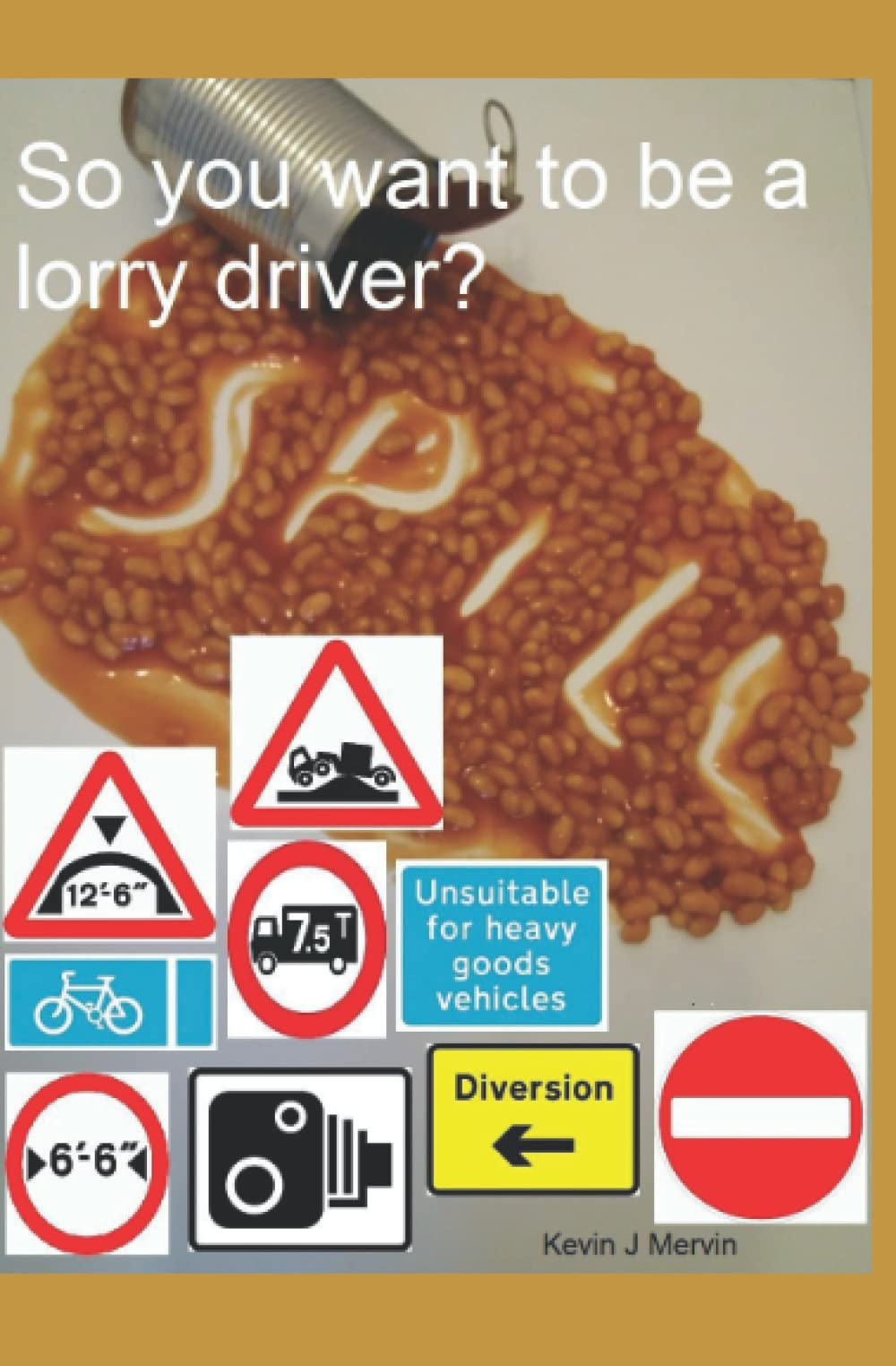 So you want to be a lorry driver ?