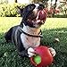 Jolly Pets Teaser Ball Dog Toy, Small/4.5 Inches, Red (1504 RD)