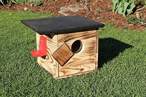 Garten und Holztrends Hummelhaus mit Extra großem Sichtfenster (H2) Hummelkasten, Hummelhotel, Hummelpenzion mit Wachsenmottesperre, Insektenhotel, Bienenhaus,Insektenhaus,Bienen Cover
