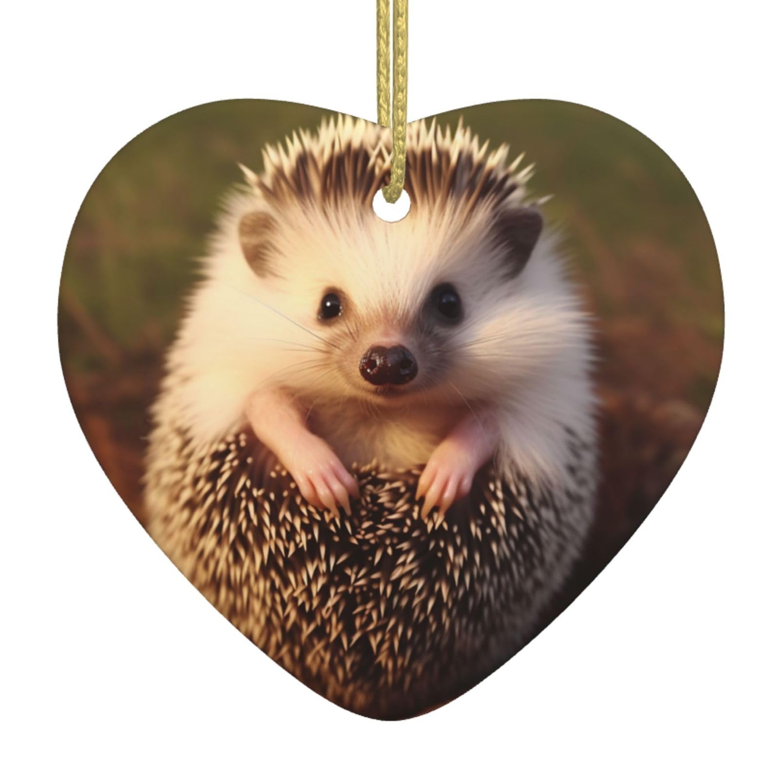 Fodpand Women's White Hedgehog Christmas Ornaments 2025, Gift Exchange For Men, Collectible Ceramic Ornament Heart Hanging Ornaments For Christmas Tree Decoration