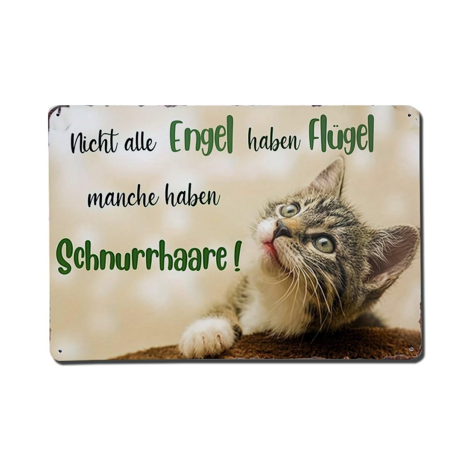 Cute Kitten With Whiskers And Text Metal Tin Sign Plaque