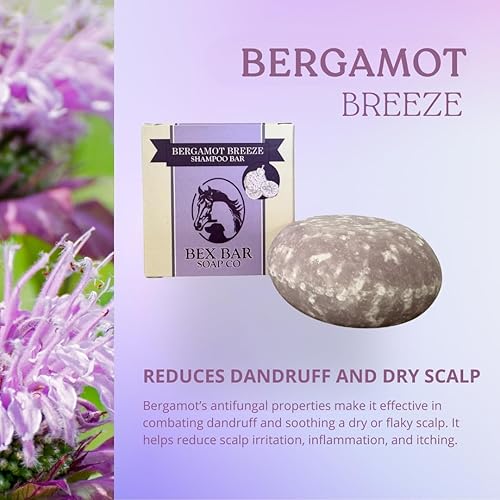 Miniatura 5 de Kensington Barra de champú con proteína de agua de arroz y VIT B5, paquete de 3  Brisa de bergamota, salpicaduras de cítricos, lluvia de eucalipto 3