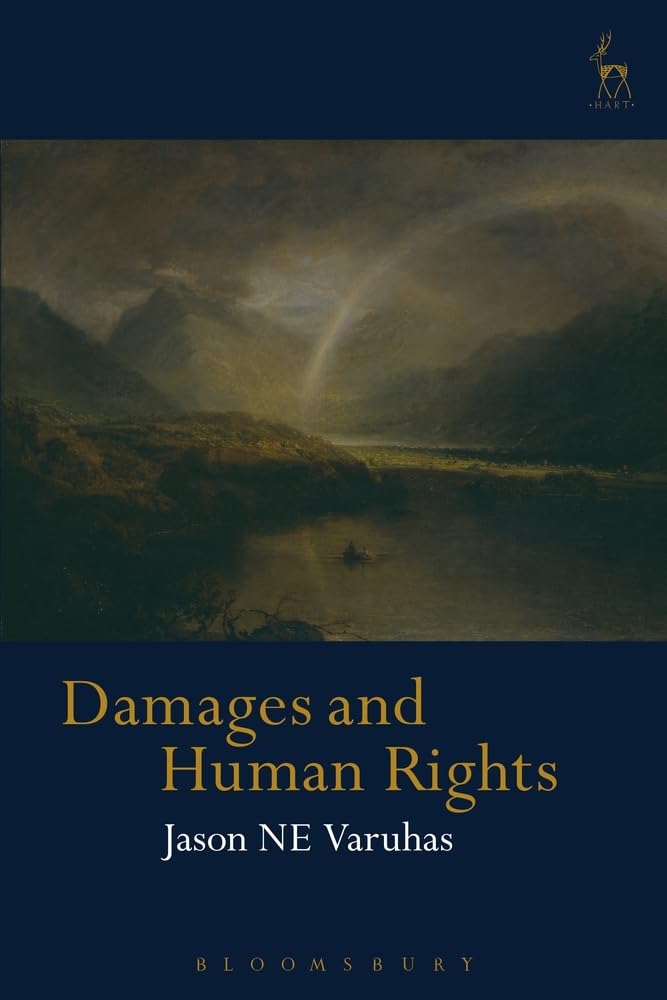Damages and Human Rights.New 9781509924448 Fast Free Shipping<|