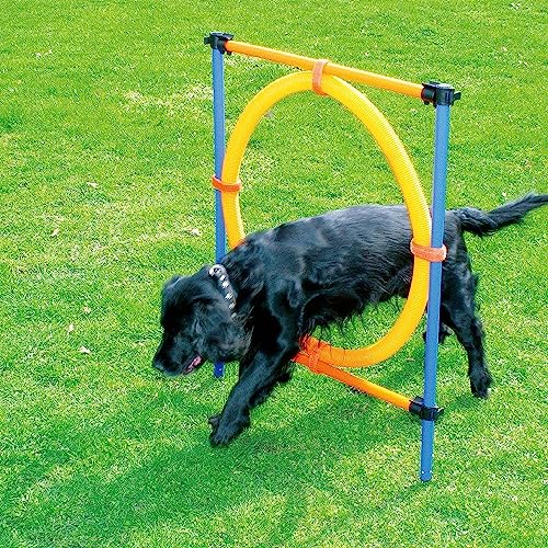 PAWISE Puppy Agility Kit