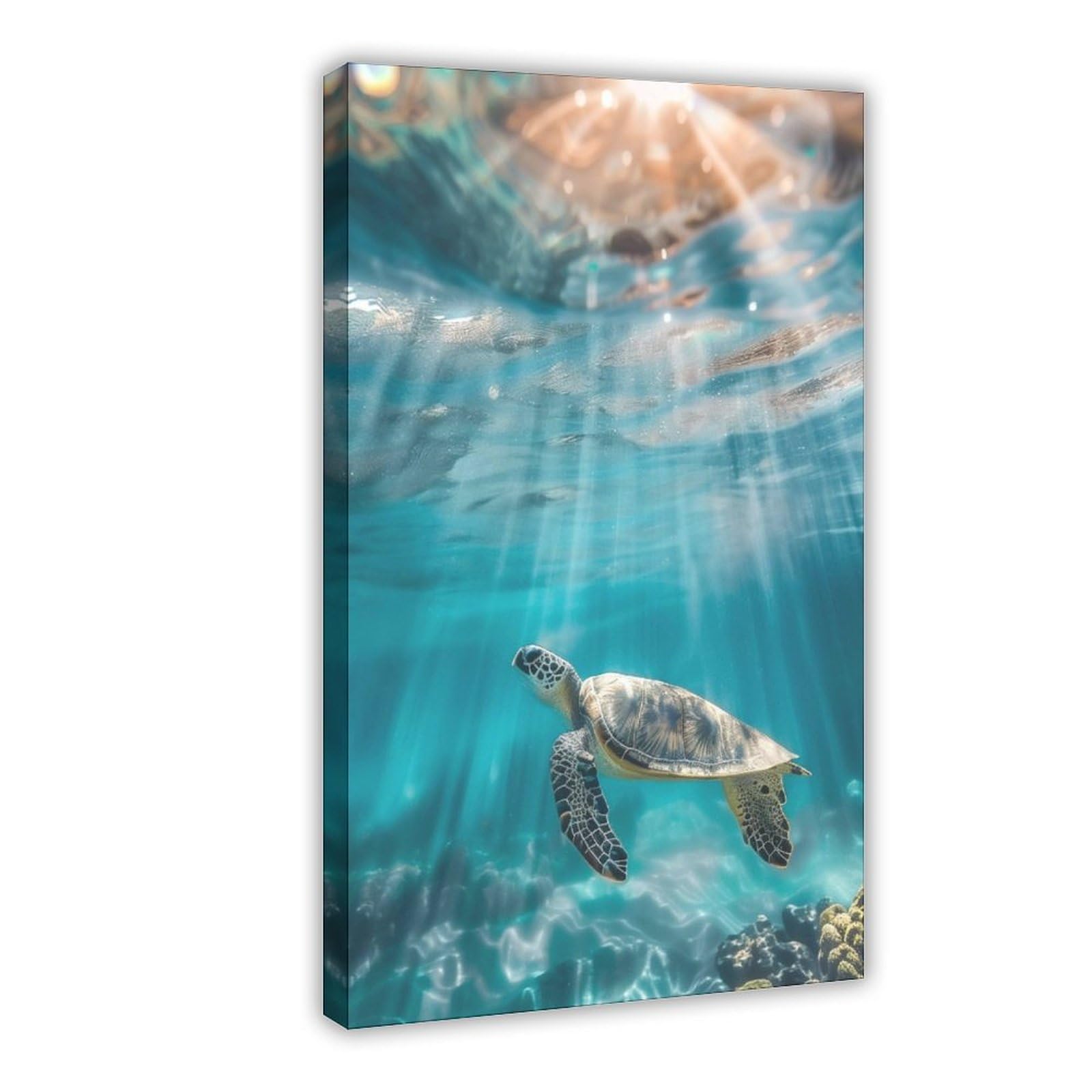 QNVJQKDSI Sea Turtle Swimming in Coral Reef, Ocean Wildlife Art (2) Canvas Poster Wall Art Decor Print Picture Paintings for Living Room Bedroom Decoration 24" L X 36" W