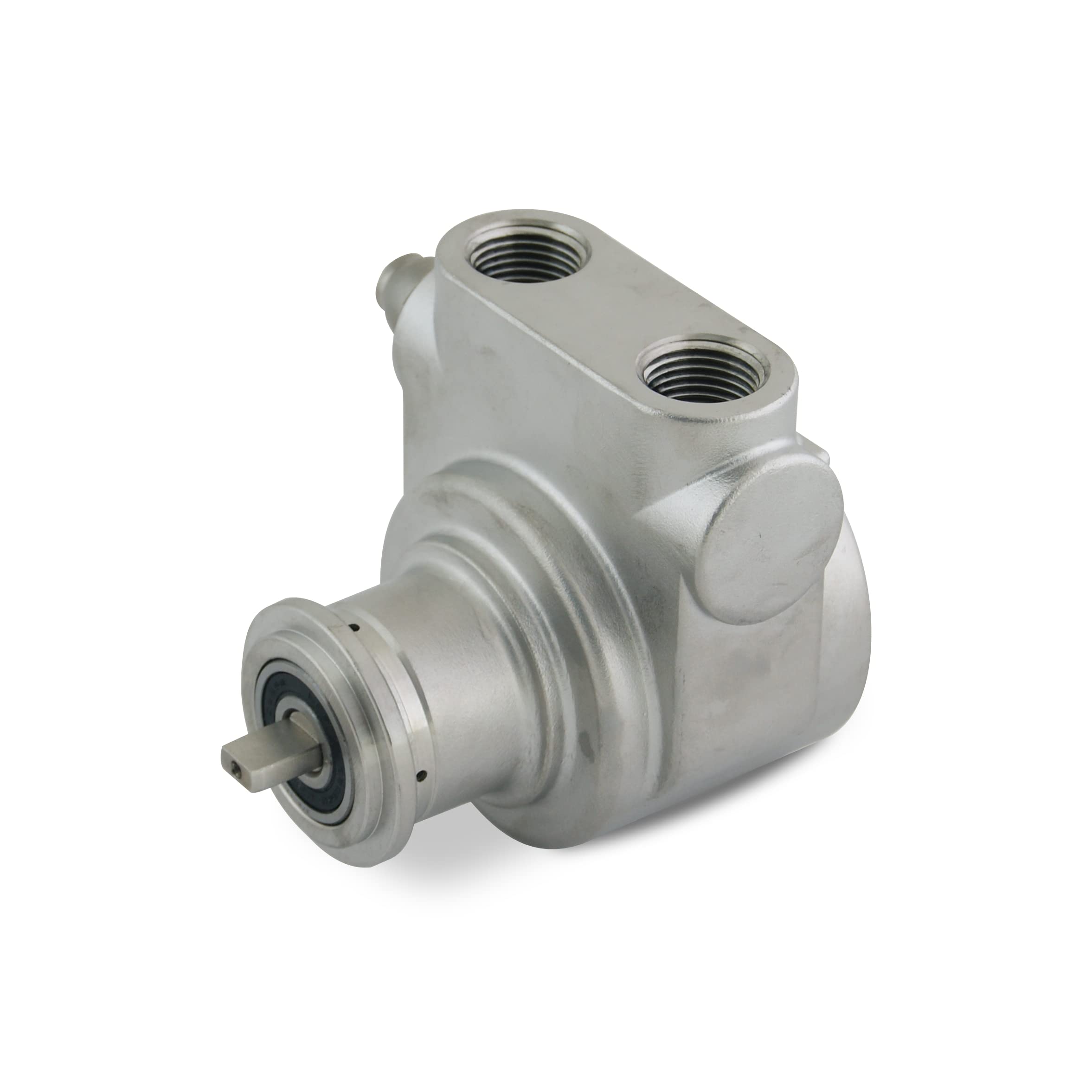 Pompa rotativa volumetrica a palette fluidotech 1000 l/h in acciaio Inox