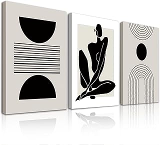 3Pcs Framed Boho Abstract Wall Art Decor, Black and White Geometric Canv...