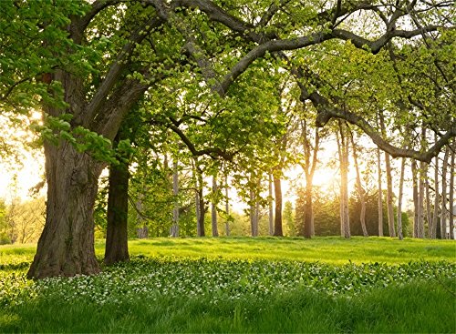 Leowefowa 7X5FT Spring Backdrop Rural Forest Trees Backdrops for Photography Blooming Flowers Green