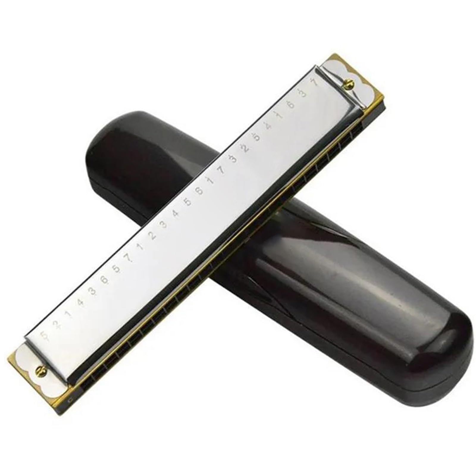 Armonica A Bocca Con Tremolo A 24 Fori Chiave In Do Arpa Strumento Musicale A Fiato Design Innovativo Scala