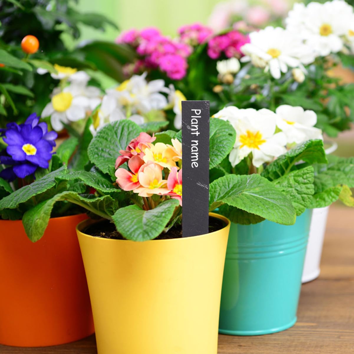 Kisangel Étiquettes pour Plantes Accessoires de Jardin Décorations Végétales 12 Pcs Étiquettes en Pierre Réutilisables pour Jardin et Fleurs
