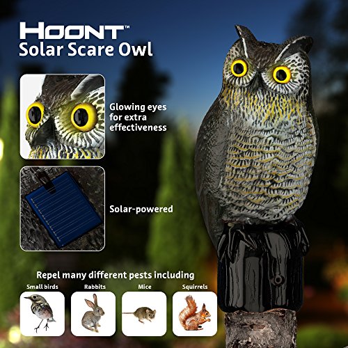 Hoont Realistic Owl Scarecrow with Flashing Eyes and Frightening Sound Solar Powered and Motion Activated, Frightens Birds and Pests Out of Your Property Hoont Realistic Owl Scarecrow with Flashing Eyes and Frightening Sound Solar Powered and Motion Activated, Frightens Birds and Pests Out of Your Property