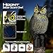 Hoont Realistic Owl Scarecrow with Flashing Eyes and Frightening Sound Solar Powered and Motion Activated, Frightens Birds and Pests Out of Your Property