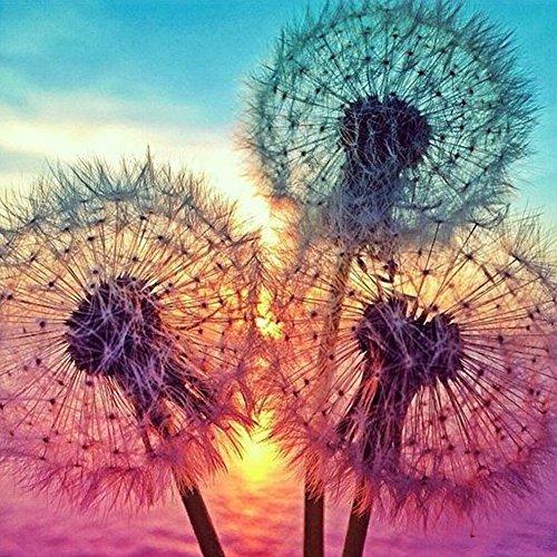 Ingzy 5D Diamond Painting Kits Paint By Numbers DIY Full Diamonds Cross Stitch Wall Decor,Dandelion(30x30CM/12