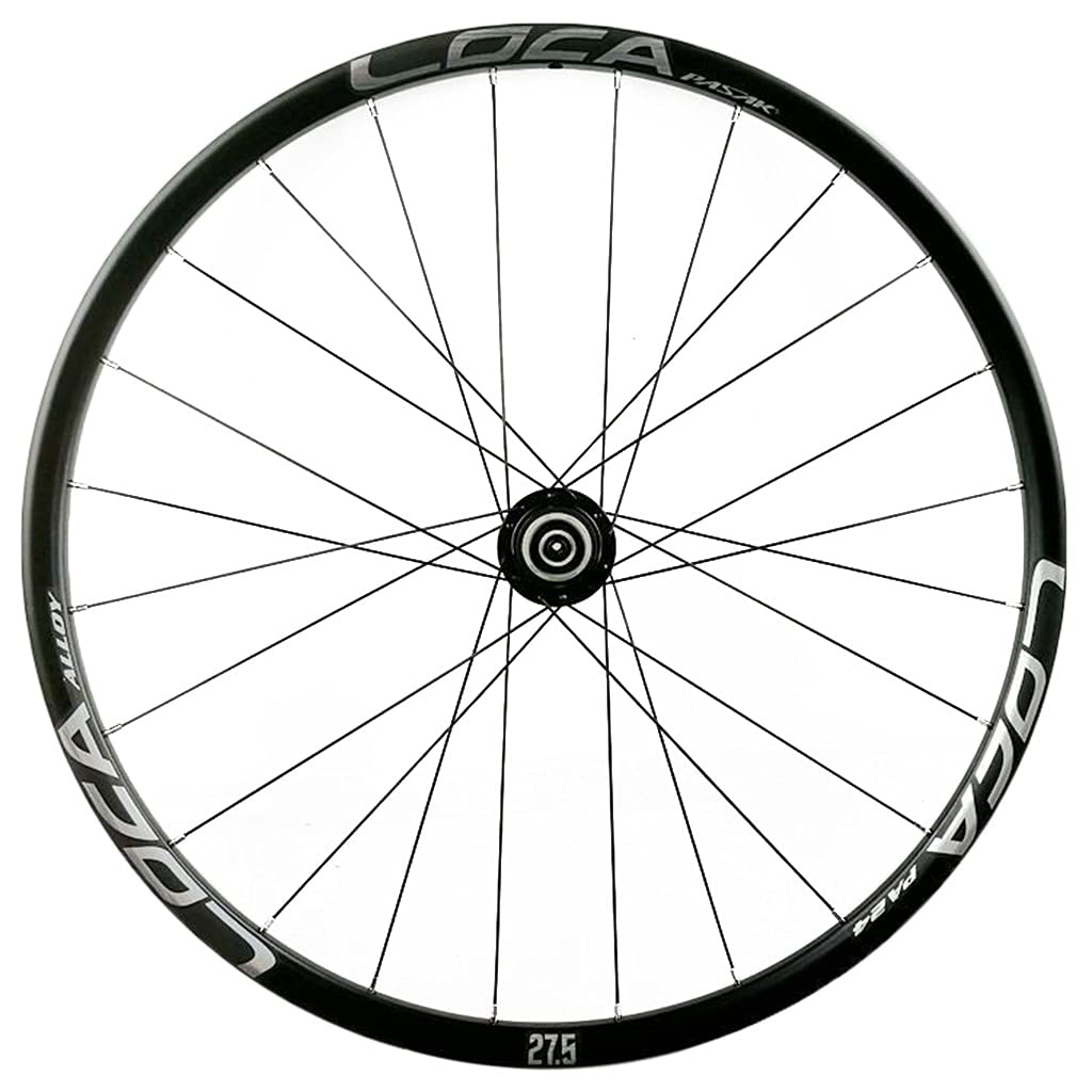 ZFF Bicicletta da Montagna Ruote 26/27.5/29 Pollici Freni A Disco Doppio Muro Cerchio MTB Ruote di Montagna Rilascio Rapido per 7/8/9/10/11/12 velocità Cassetta Ruota Libera