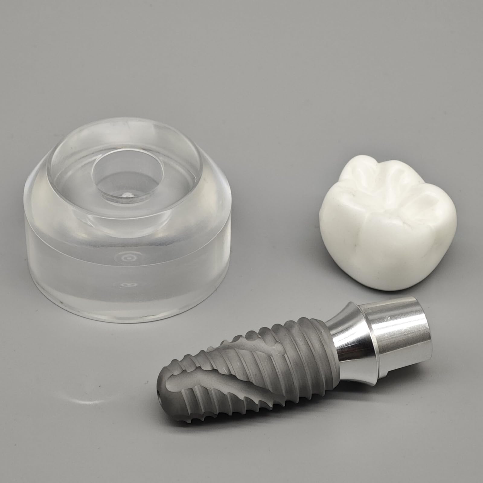 Modello di impianto in Cristallo Modello didattico Dentale e Orale Denti Trasparenti per Studio e insegnamento